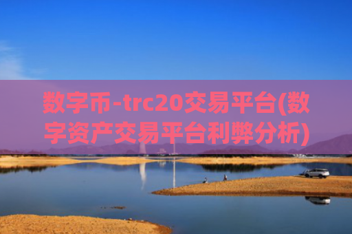 数字币-trc20交易平台(数字资产交易平台利弊分析)