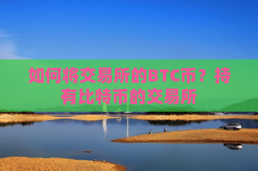 如何将交易所的BTC币？持有比特币的交易所