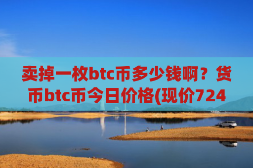 卖掉一枚btc币多少钱啊？货币btc币今日价格(现价724657.94元)