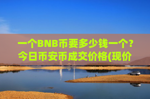 一个BNB币要多少钱一个？今日币安币成交价格(现价5462.61元)