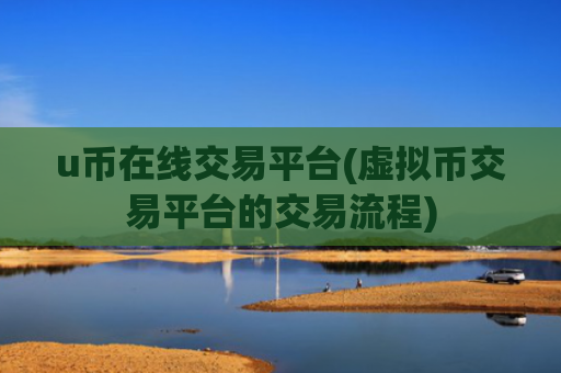 u币在线交易平台(虚拟币交易平台的交易流程)