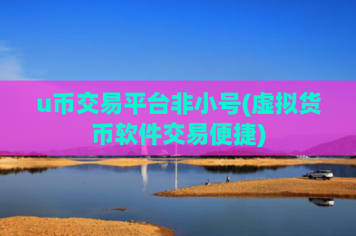 u币交易平台非小号(虚拟货币软件交易便捷)