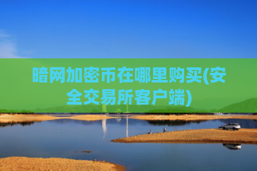 暗网加密币在哪里购买(安全交易所客户端)