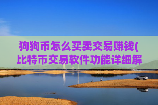 狗狗币怎么买卖交易赚钱(比特币交易软件功能详细解析)