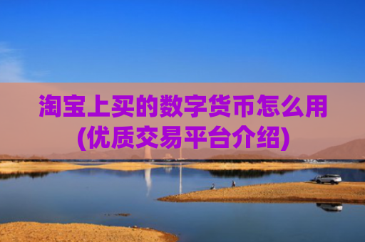 淘宝上买的数字货币怎么用(优质交易平台介绍)