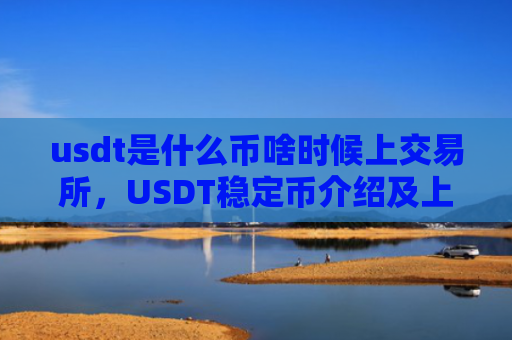 usdt是什么币啥时候上交易所，USDT稳定币介绍及上市时间