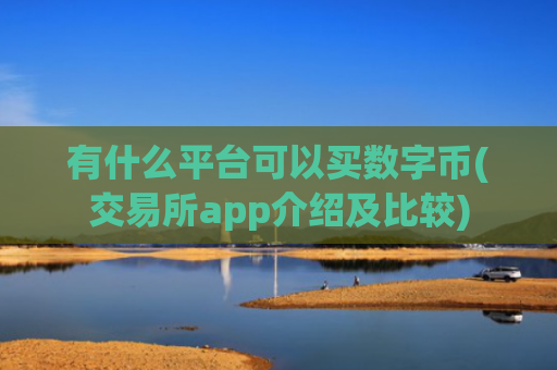 有什么平台可以买数字币(交易所app介绍及比较)