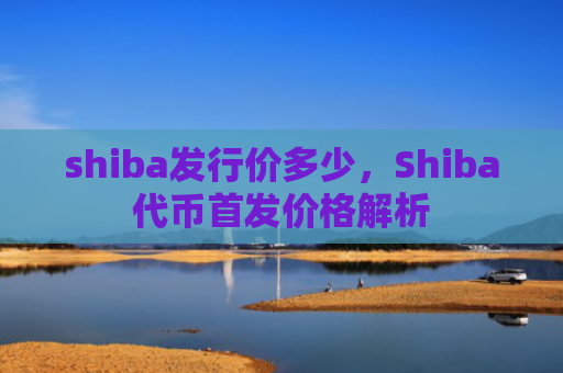 shiba发行价多少，Shiba代币首发价格解析