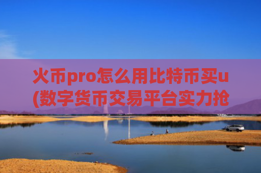 火币pro怎么用比特币买u(数字货币交易平台实力抢眼)