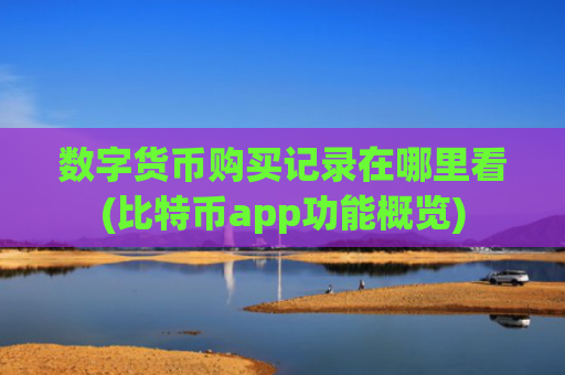 数字货币购买记录在哪里看(比特币app功能概览)