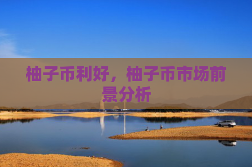 柚子币利好，柚子币市场前景分析
