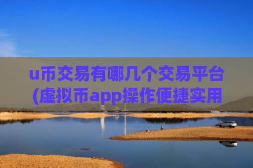 u币交易有哪几个交易平台(虚拟币app操作便捷实用)