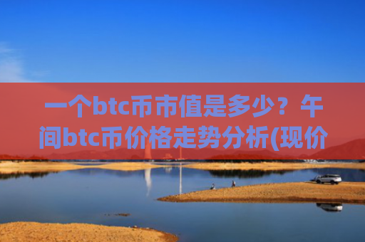 一个btc币市值是多少？午间btc币价格走势分析(现价729165.2元)