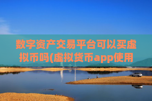 数字资产交易平台可以买虚拟币吗(虚拟货币app使用技巧分享)
