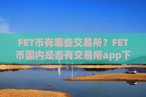 FET币有哪些交易所？FET币国内是否有交易所app下载