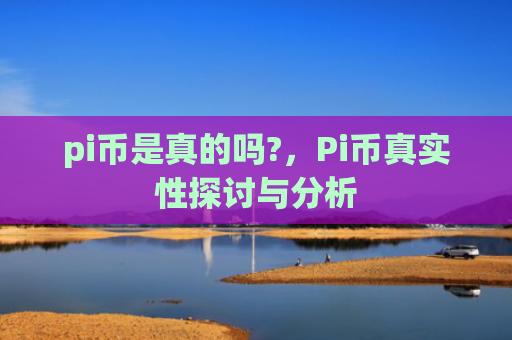 pi币是真的吗?，Pi币真实性探讨与分析