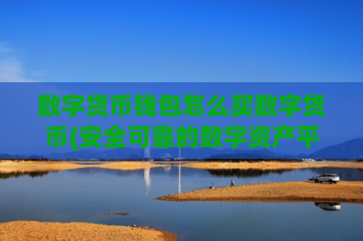 数字货币钱包怎么买数字货币(安全可靠的数字资产平台)