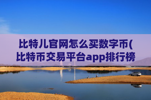 比特儿官网怎么买数字币(比特币交易平台app排行榜)