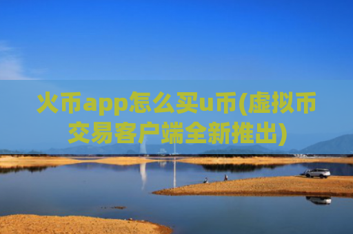 火币app怎么买u币(虚拟币交易客户端全新推出)
