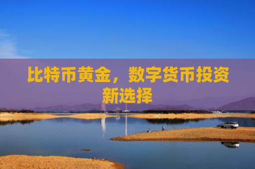 比特币黄金，数字货币投资新选择