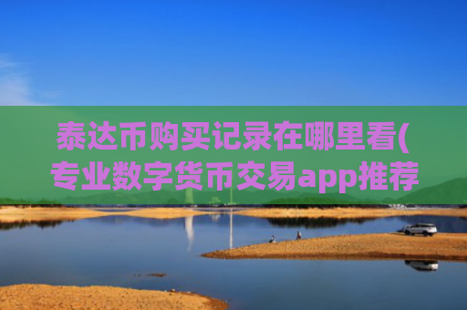 泰达币购买记录在哪里看(专业数字货币交易app推荐)
