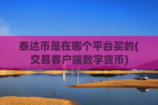 泰达币是在哪个平台买的(交易客户端数字货币)