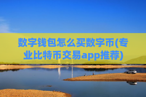 数字钱包怎么买数字币(专业比特币交易app推荐)