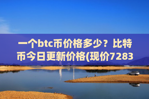 一个btc币价格多少？比特币今日更新价格(现价728386.67元)