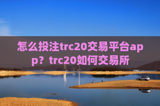 怎么投注trc20交易平台app？trc20如何交易所