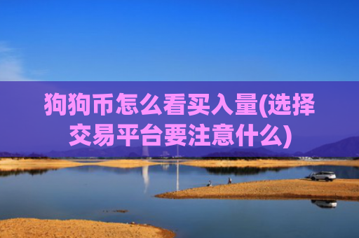 狗狗币怎么看买入量(选择交易平台要注意什么)
