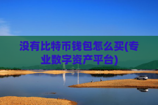 没有比特币钱包怎么买(专业数字资产平台)