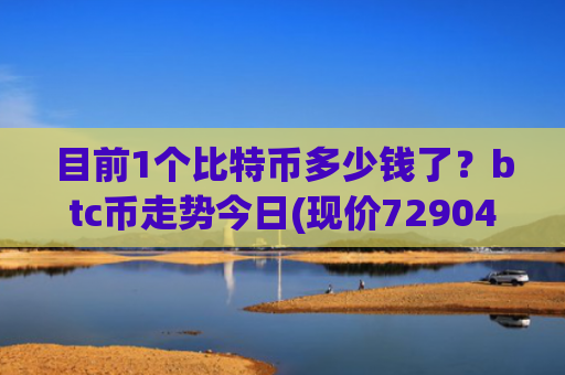 目前1个比特币多少钱了？btc币走势今日(现价729041.33元)