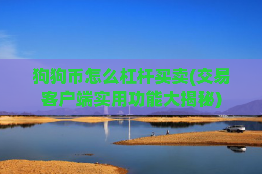 狗狗币怎么杠杆买卖(交易客户端实用功能大揭秘)