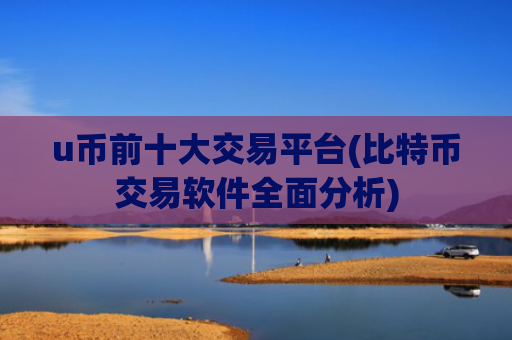 u币前十大交易平台(比特币交易软件全面分析)