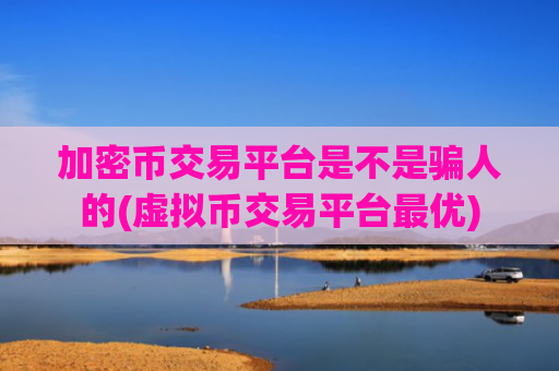 加密币交易平台是不是骗人的(虚拟币交易平台最优)