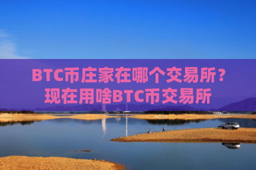 BTC币庄家在哪个交易所？现在用啥BTC币交易所