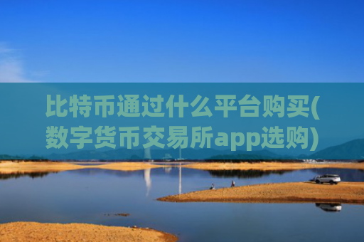 比特币通过什么平台购买(数字货币交易所app选购)