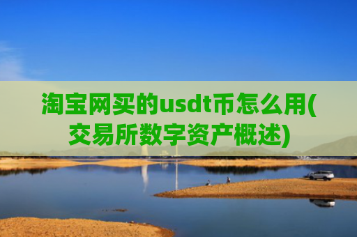 淘宝网买的usdt币怎么用(交易所数字资产概述)