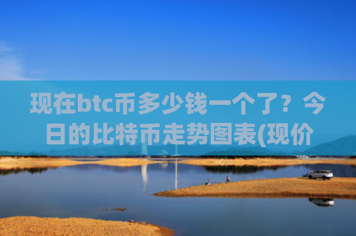 现在btc币多少钱一个了？今日的比特币走势图表(现价728668.29元)
