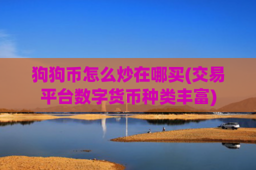 狗狗币怎么炒在哪买(交易平台数字货币种类丰富)