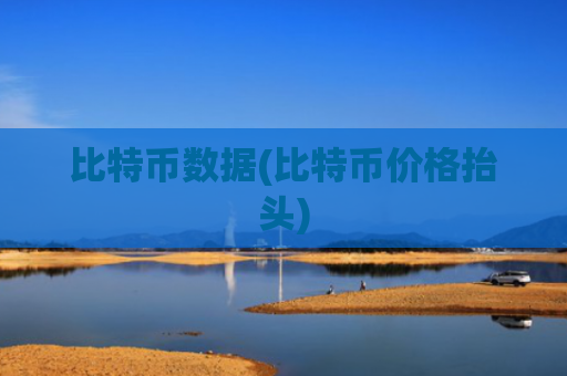 比特币数据(比特币价格抬头)