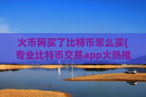 火币网买了比特币怎么买(专业比特币交易app火热推荐)