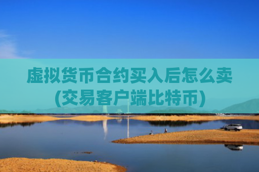 虚拟货币合约买入后怎么卖(交易客户端比特币)