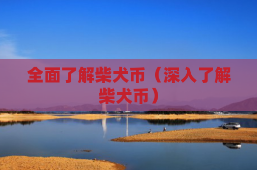 全面了解柴犬币（深入了解柴犬币）