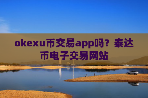 okexu币交易app吗？泰达币电子交易网站