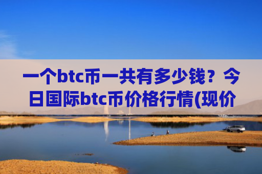一个btc币一共有多少钱？今日国际btc币价格行情(现价728648.36元)