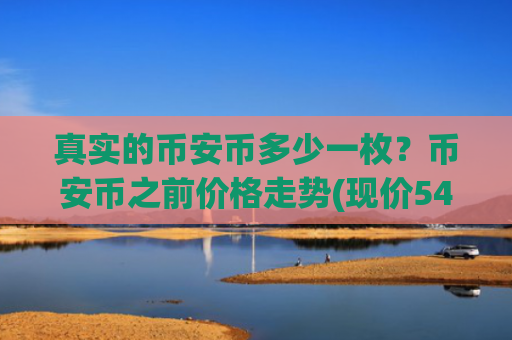 真实的币安币多少一枚？币安币之前价格走势(现价5456.15元)