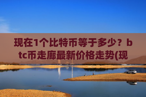 现在1个比特币等于多少？btc币走廊最新价格走势(现价728784.59元)