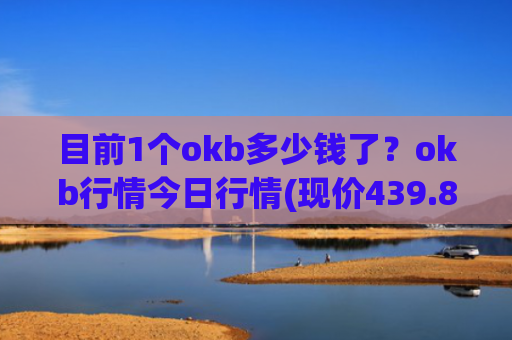 目前1个okb多少钱了？okb行情今日行情(现价439.856元)