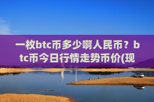 一枚btc币多少啊人民币？btc币今日行情走势币价(现价730813.8元)
